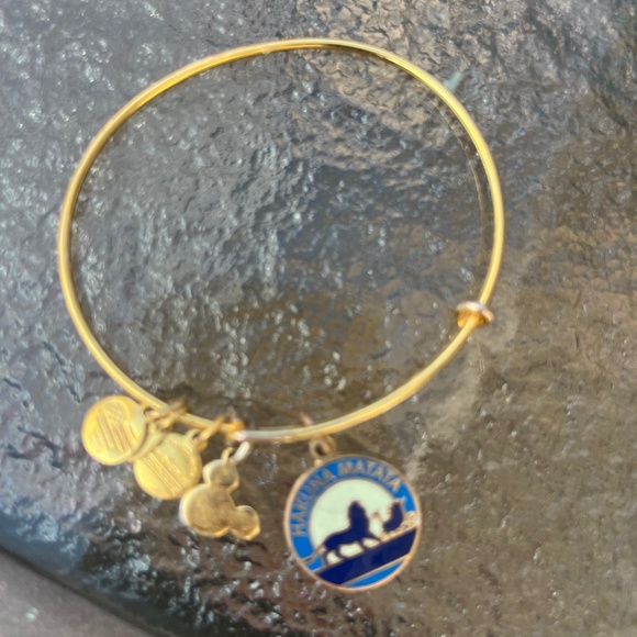 Disney Hakuna matata Alex and ani bracelet - Picture 1 of 1